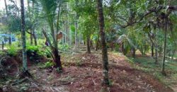 10 Cent Residential Land / Plots for sale in Vellur Kannur, Kerala