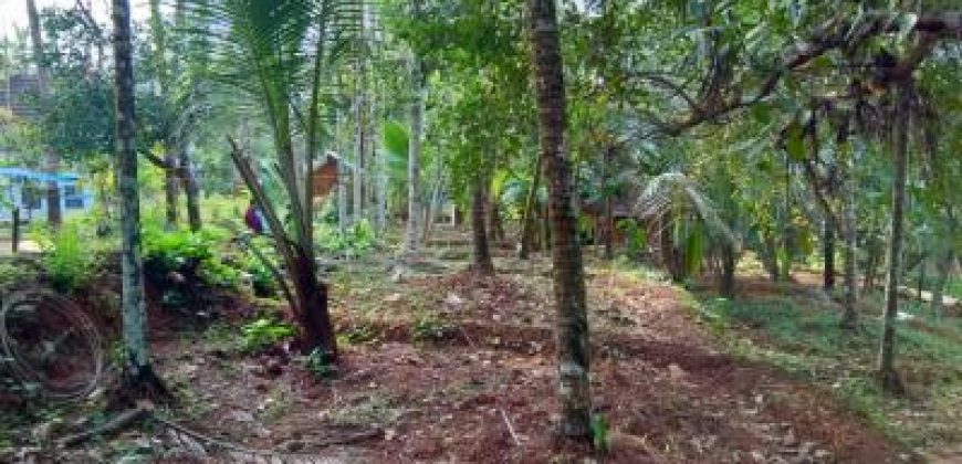10 Cent Residential Land / Plots for sale in Vellur Kannur, Kerala