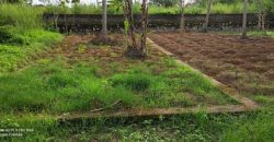 10 Cent Residential Land / Plots for sale in Annur Kannur, Kerala