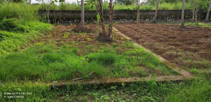 10 Cent Residential Land / Plots for sale in Aril Kannur, Kerala