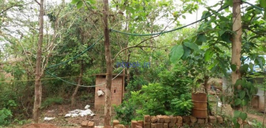10 Cent Residential Land / Plots for sale in Vilayancode Kannur, Kerala