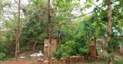 10 Cent Residential Land / Plots for sale in Alacherry Kannur, Kerala