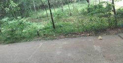 Land for sale in Vilakkottur Kannur, Kerala