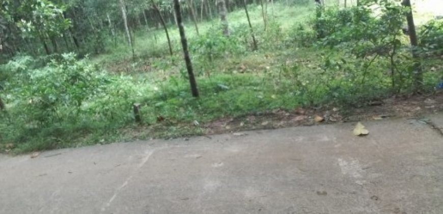 Land for sale in Payam Kannur, Kerala