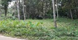 Land / Plots for sale in Nanichery Kannur, Kerala