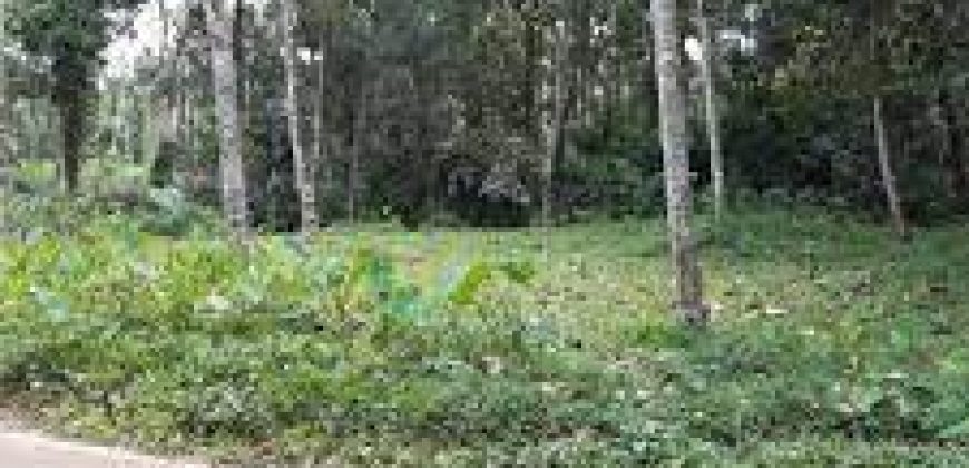 Land / Plots for sale in Nanichery Kannur, Kerala