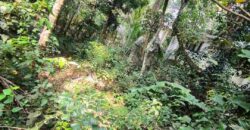 10.5 cents land near kuriyadi beach and highway 17 in chorode vatakara