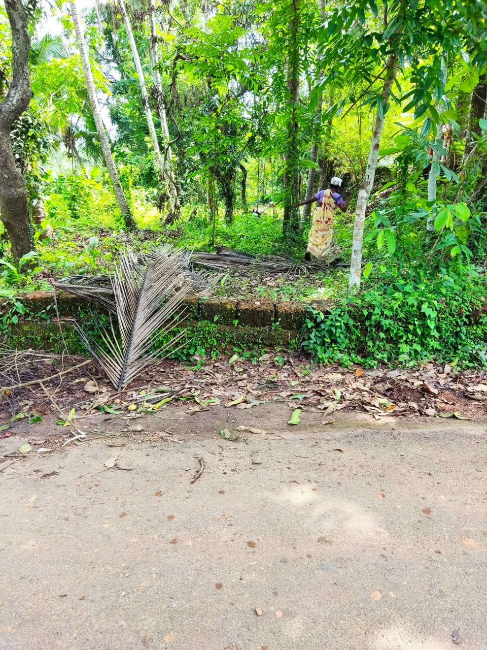 20 cent plot for sale in panoor