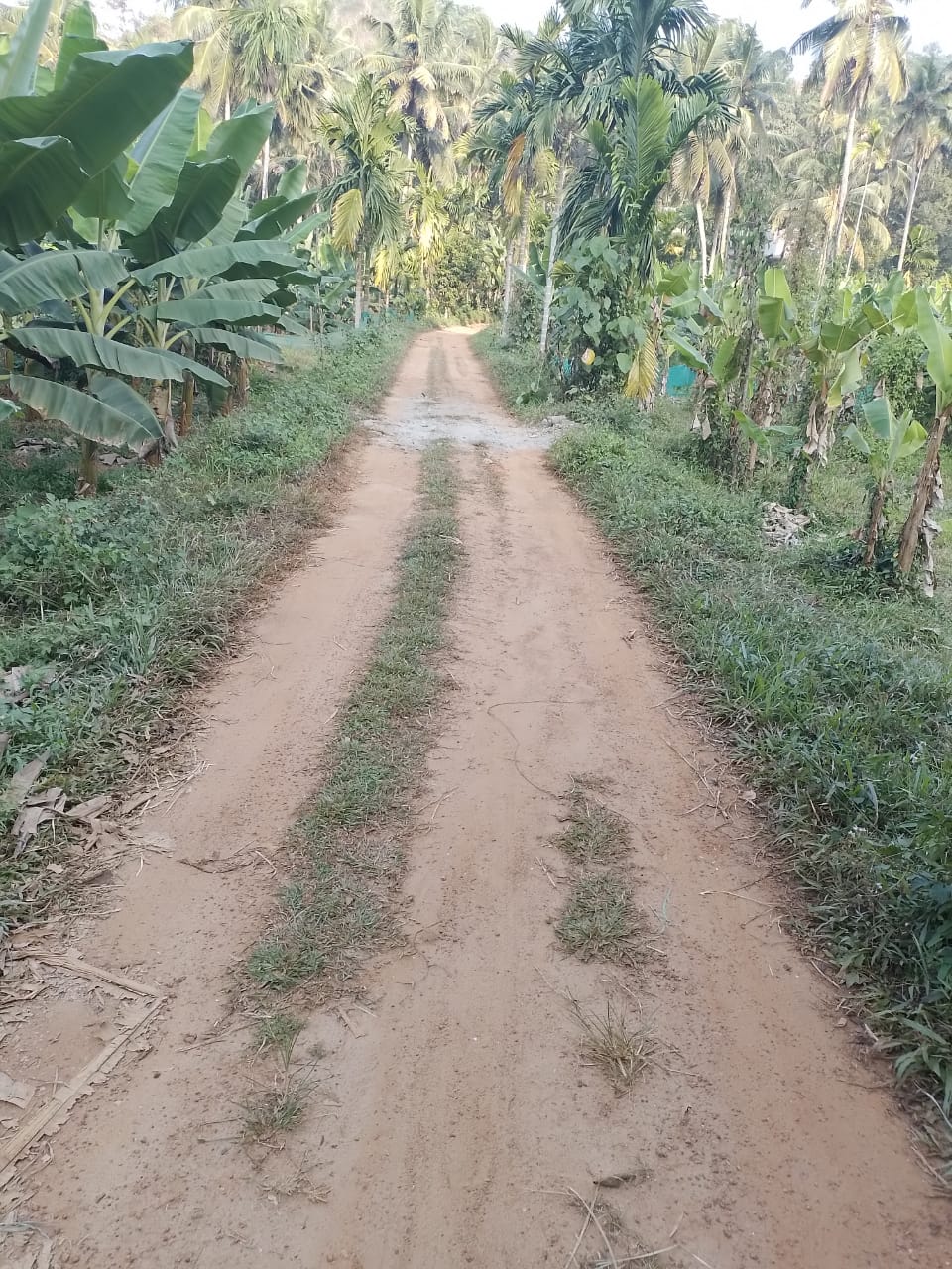 12 acre land for sale in kanavam kannur
