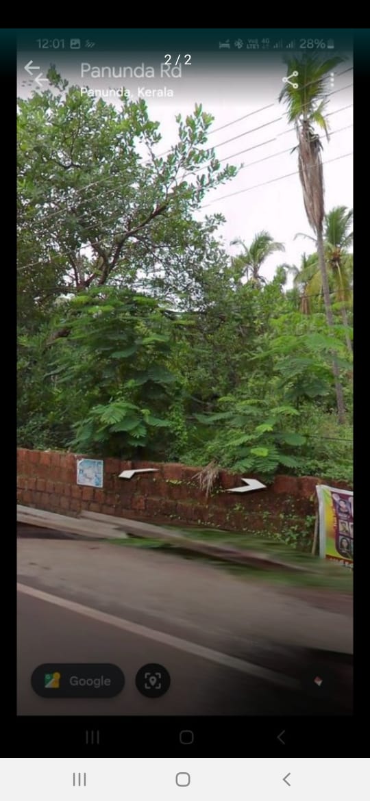 37 cent plot for sale in panunda kuthuparamba