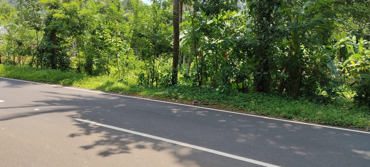 60 cent plot in chemperi kannur