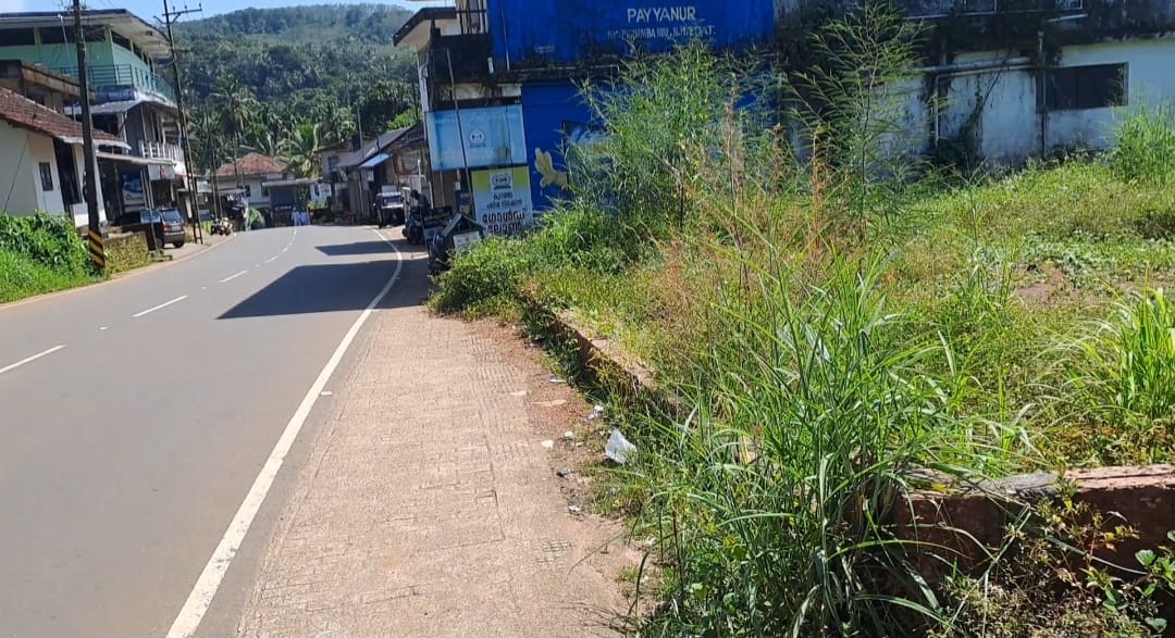 8 cent residential plot in chapparappadav taliparamba